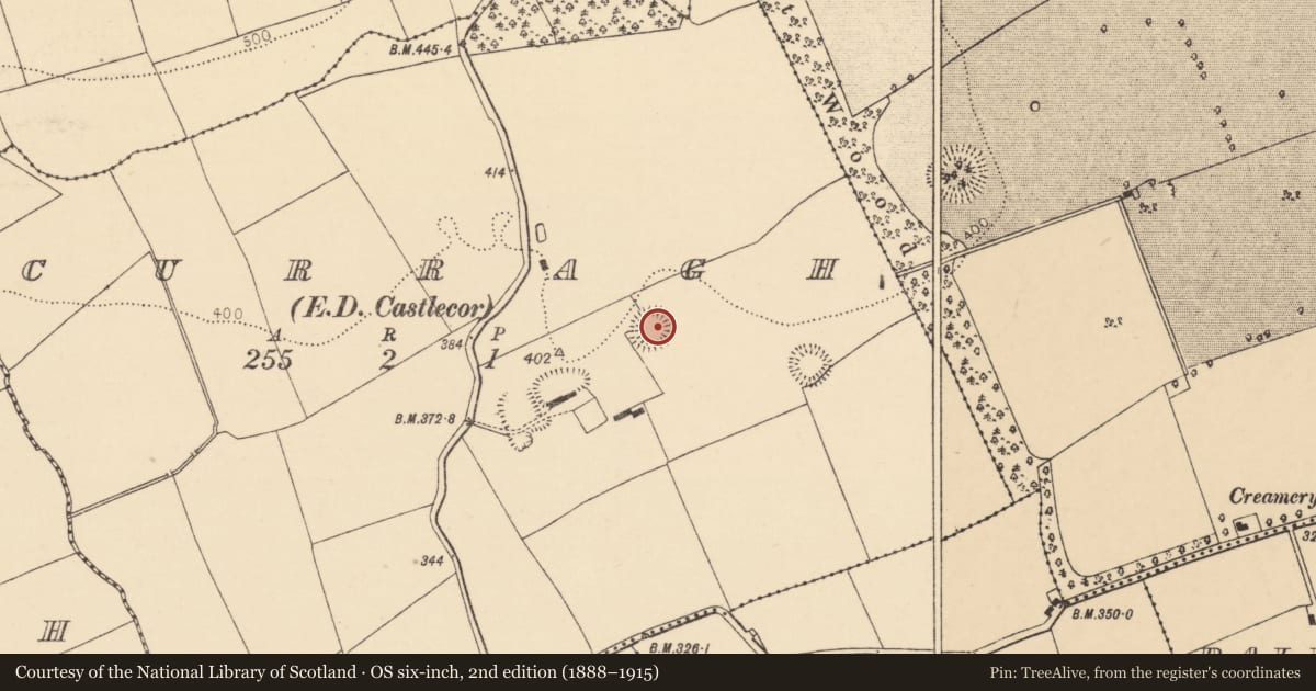 Ordnance Survey six-inch map, 2nd edition (1888–1915) covering the location of Ringfort - rath, Curragh (Duhallow By., Kilbrin Par.), County Cork, with a pin at the register's coordinates