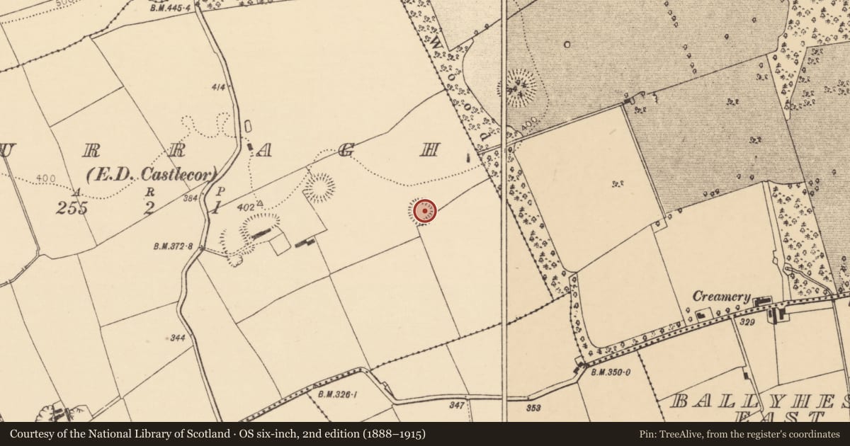 Ordnance Survey six-inch map, 2nd edition (1888–1915) covering the location of Ringfort - rath, Curragh (Duhallow By., Kilbrin Par.), County Cork, with a pin at the register's coordinates