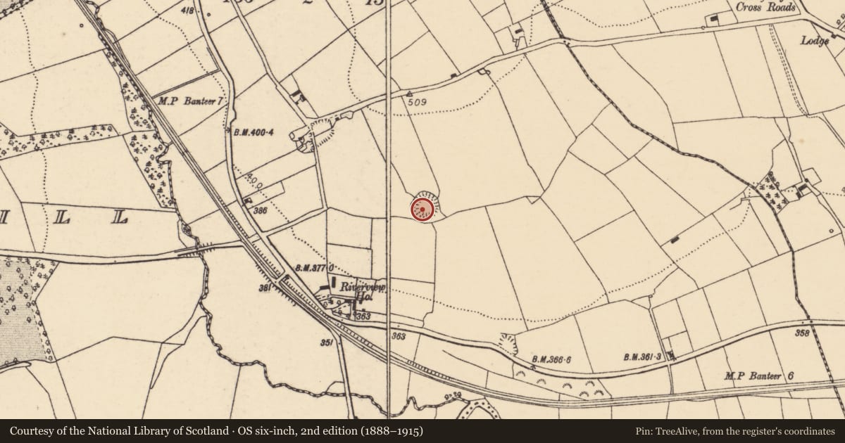 Ordnance Survey six-inch map, 2nd edition (1888–1915) covering the location of Souterrain, Garraunawarrig Lower, County Cork, with a pin at the register's coordinates