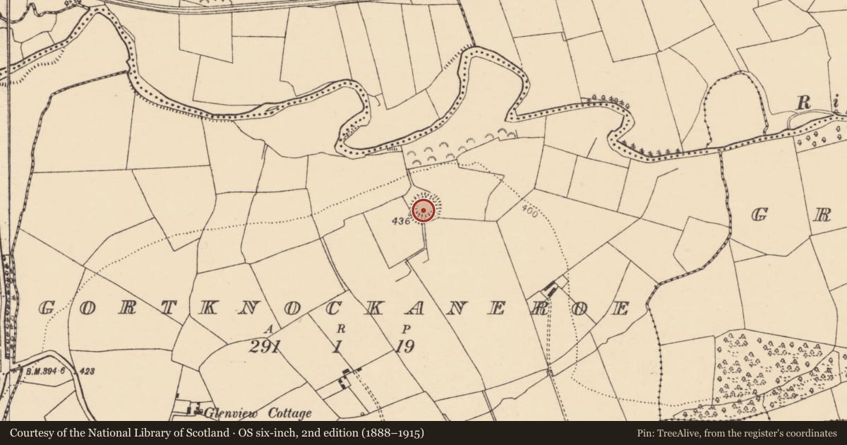 Ordnance Survey six-inch map, 2nd edition (1888–1915) covering the location of Ringfort - rath, Gortknockaneroe, County Cork, with a pin at the register's coordinates
