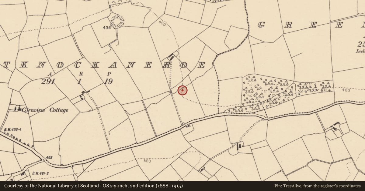 Ordnance Survey six-inch map, 2nd edition (1888–1915) covering the location of Fulacht fia, Gortknockaneroe, County Cork, with a pin at the register's coordinates