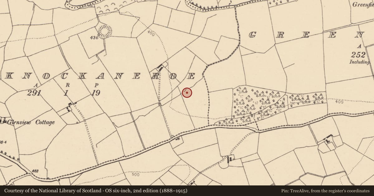 Ordnance Survey six-inch map, 2nd edition (1888–1915) covering the location of Fulacht fia, Gortknockaneroe, County Cork, with a pin at the register's coordinates