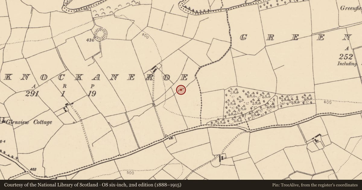 Ordnance Survey six-inch map, 2nd edition (1888–1915) covering the location of Fulacht fia, Gortknockaneroe, County Cork, with a pin at the register's coordinates