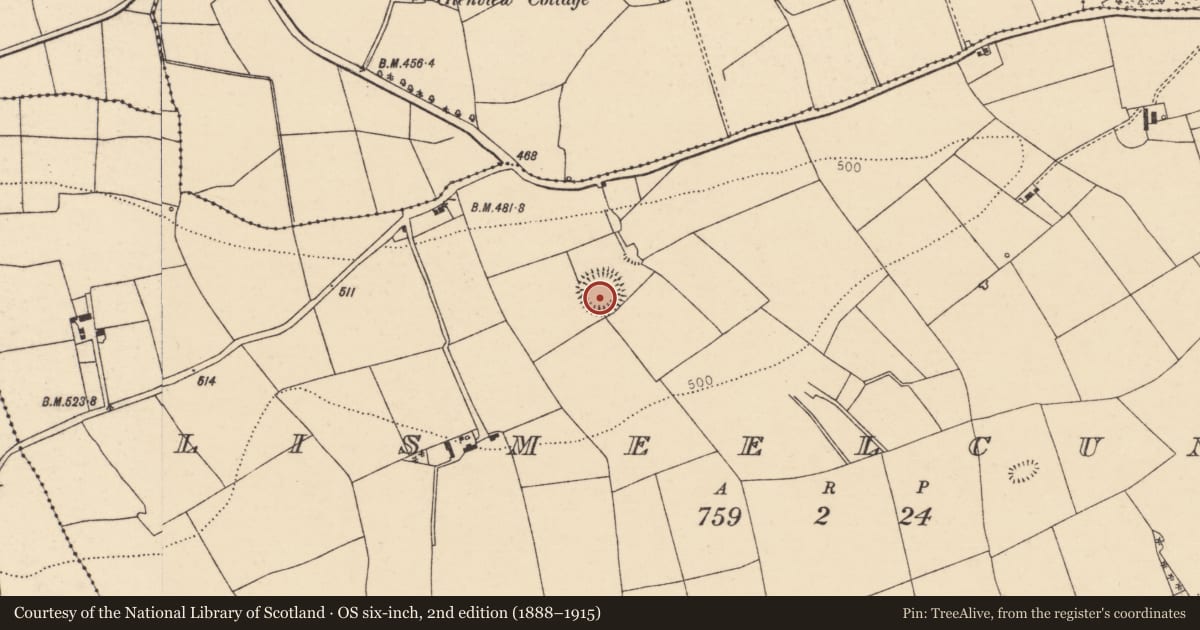 Ordnance Survey six-inch map, 2nd edition (1888–1915) covering the location of Ringfort - rath, Lismeelcunnin, County Cork, with a pin at the register's coordinates