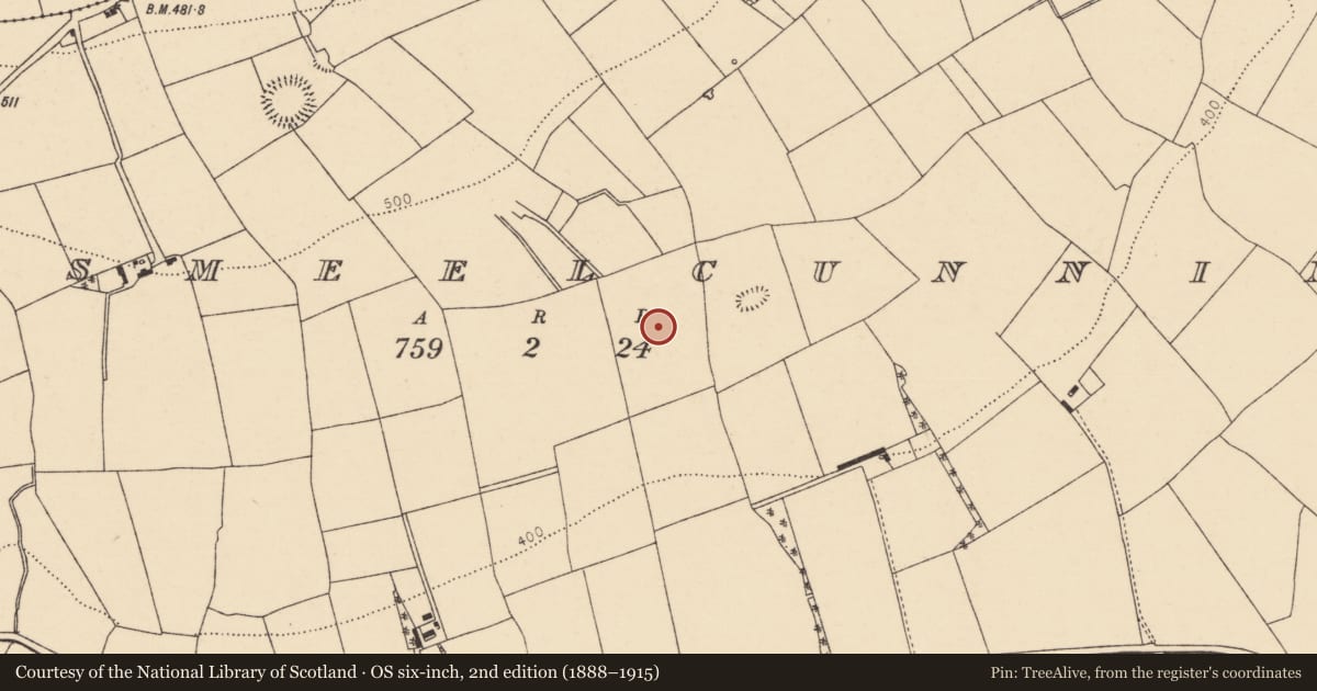 Ordnance Survey six-inch map, 2nd edition (1888–1915) covering the location of Fulacht fia, Lismeelcunnin, County Cork, with a pin at the register's coordinates