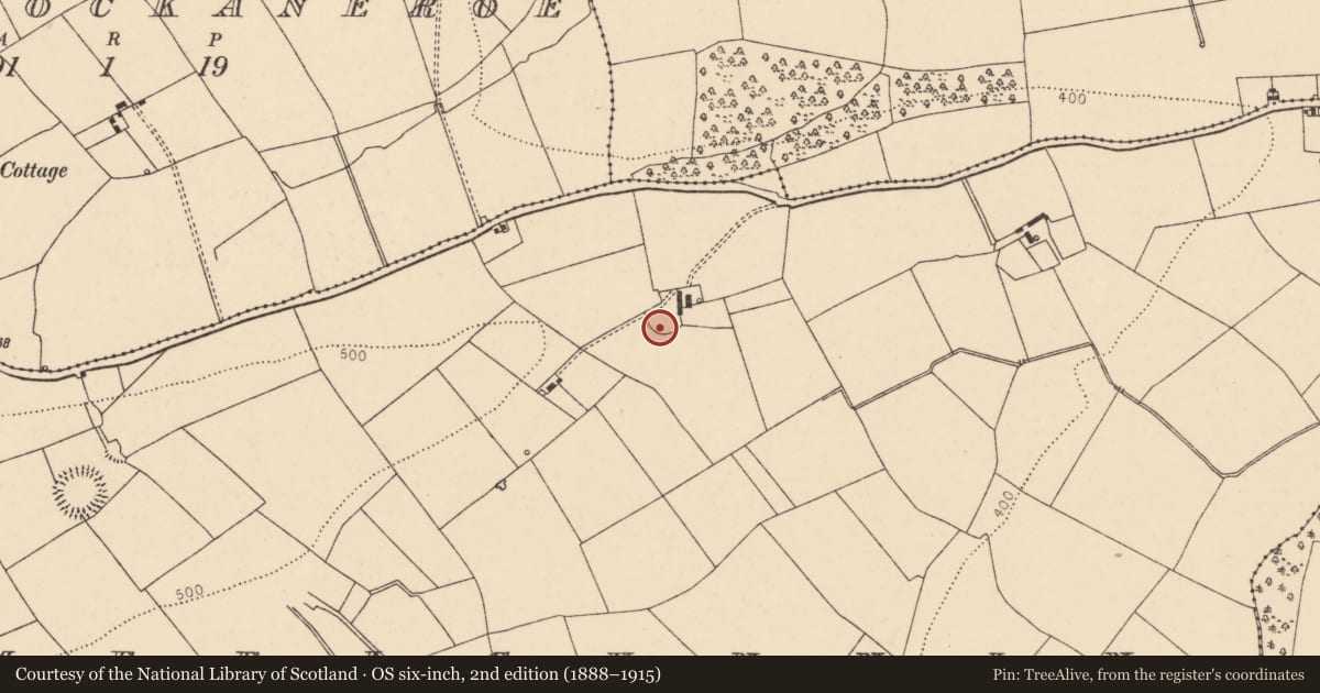 Ordnance Survey six-inch map, 2nd edition (1888–1915) covering the location of Ringfort - rath, Lismeelcunnin, County Cork, with a pin at the register's coordinates