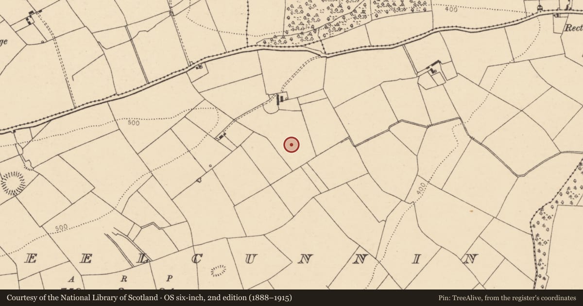 Ordnance Survey six-inch map, 2nd edition (1888–1915) covering the location of Fulacht fia, Lismeelcunnin, County Cork, with a pin at the register's coordinates