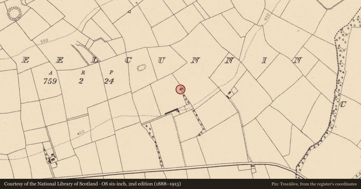 Ordnance Survey six-inch map, 2nd edition (1888–1915) covering the location of Ringfort - rath, Lismeelcunnin, County Cork, with a pin at the register's coordinates