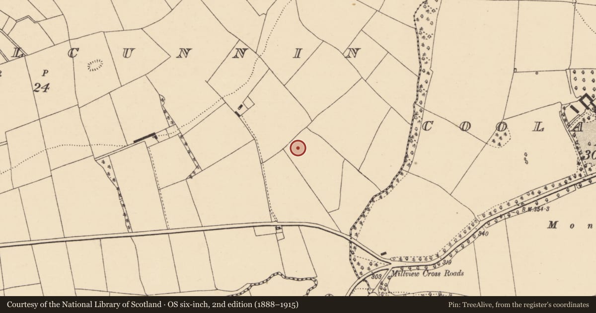 Ordnance Survey six-inch map, 2nd edition (1888–1915) covering the location of Fulacht fia, Lismeelcunnin, County Cork, with a pin at the register's coordinates