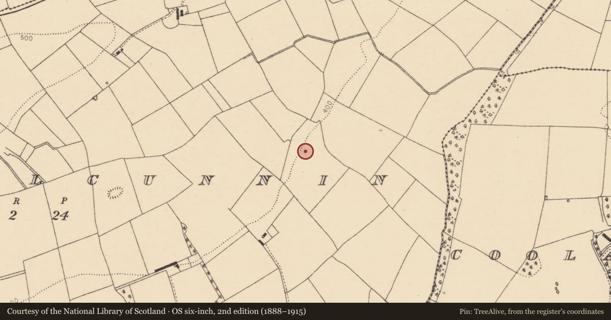 Ordnance Survey six-inch map, 2nd edition (1888–1915) covering the location of Fulacht fia, Lismeelcunnin, County Cork, with a pin at the register's coordinates