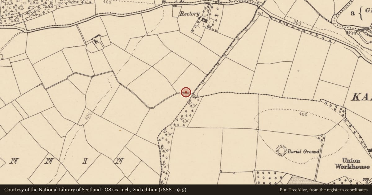 Ordnance Survey six-inch map, 2nd edition (1888–1915) covering the location of Fulacht fia, Lismeelcunnin, County Cork, with a pin at the register's coordinates