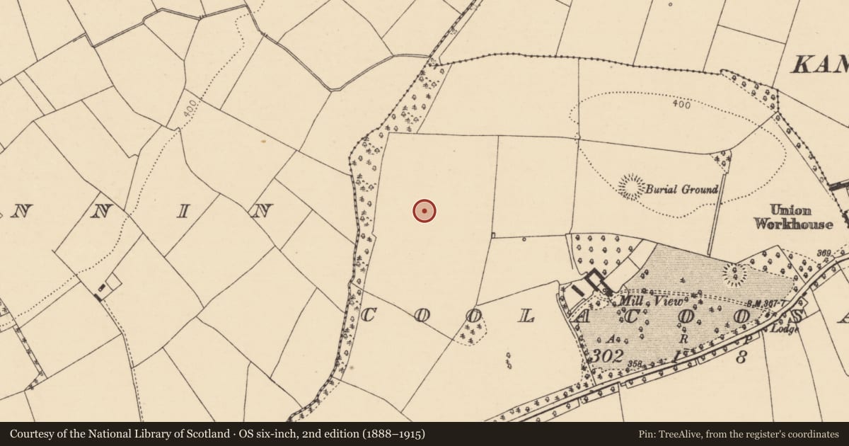 Ordnance Survey six-inch map, 2nd edition (1888–1915) covering the location of Fulacht fia, Coolacoosane, County Cork, with a pin at the register's coordinates
