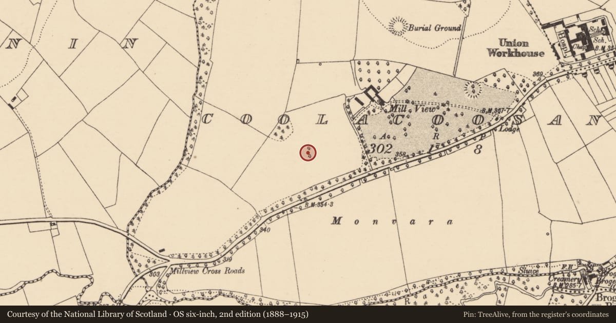Ordnance Survey six-inch map, 2nd edition (1888–1915) covering the location of Fulacht fia, Coolacoosane, County Cork, with a pin at the register's coordinates