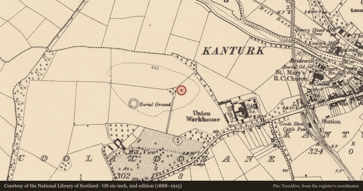 Ordnance Survey six-inch map, 2nd edition (1888–1915) covering the location of Ringfort - rath, Coolacoosane, County Cork, with a pin at the register's coordinates