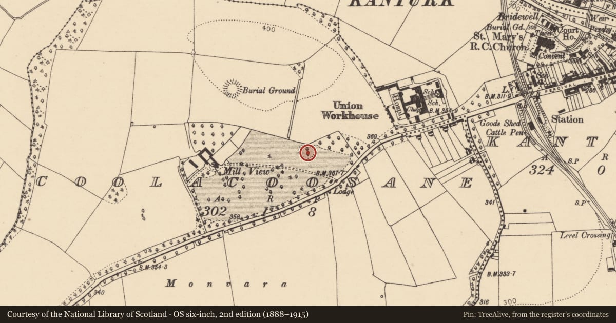 Ordnance Survey six-inch map, 2nd edition (1888–1915) covering the location of Ringfort - rath, Coolacoosane, County Cork, with a pin at the register's coordinates