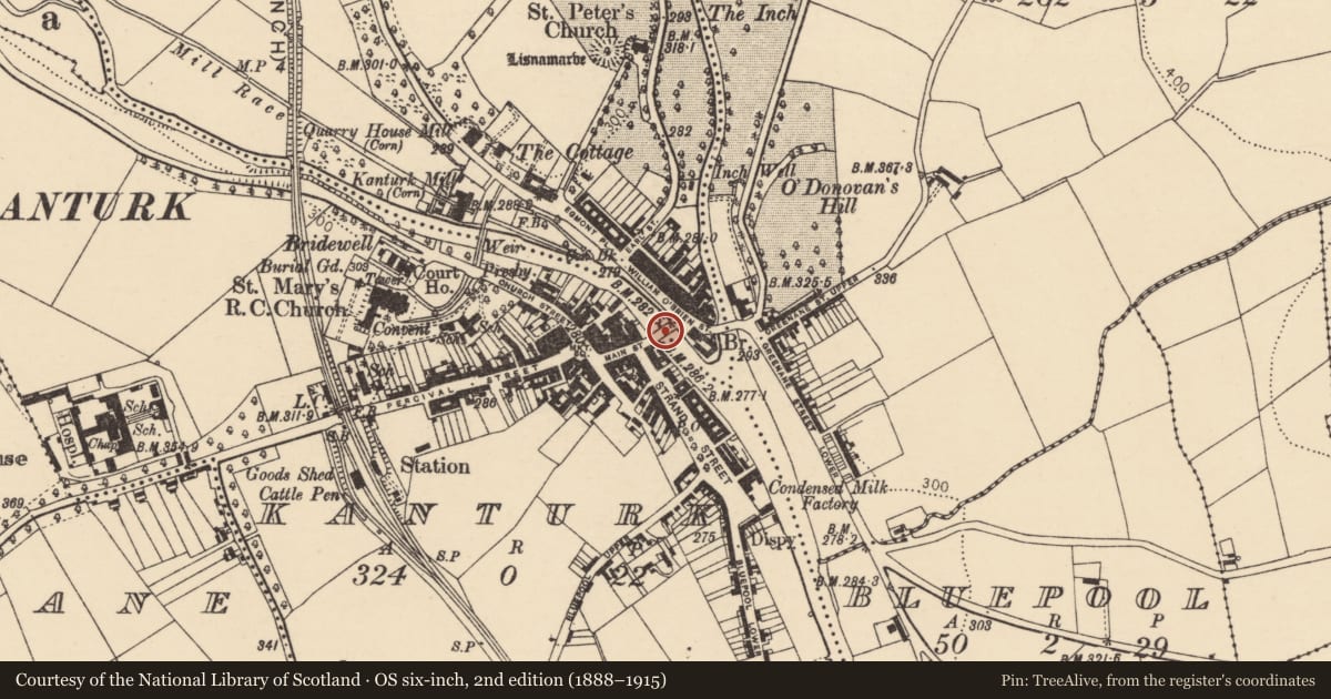 Ordnance Survey six-inch map, 2nd edition (1888–1915) covering the location of Bridge, County Cork, with a pin at the register's coordinates