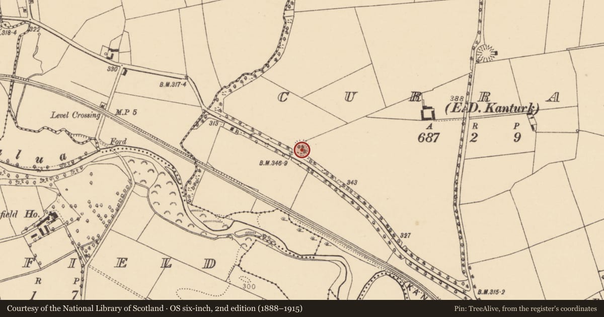 Ordnance Survey six-inch map, 2nd edition (1888–1915) covering the location of Ringfort - rath, Curragh (Duhallow By., Clonfert Par.), County Cork, with a pin at the register's coordinates