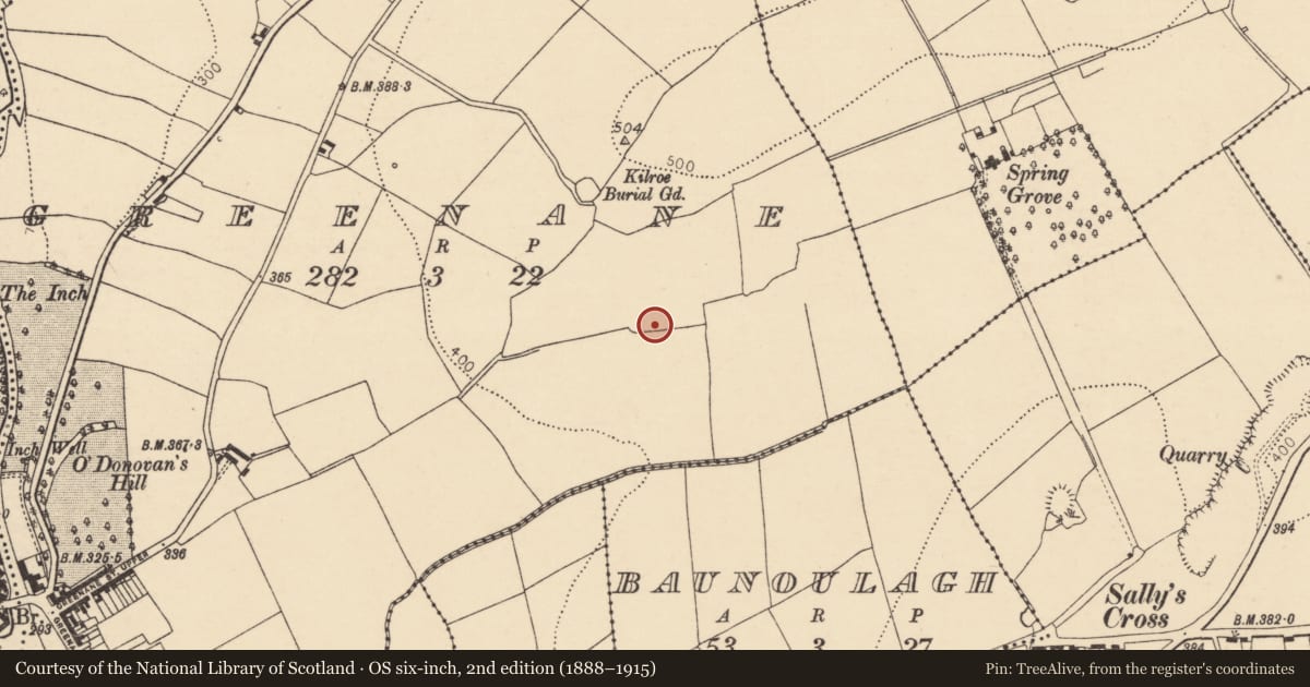 Ordnance Survey six-inch map, 2nd edition (1888–1915) covering the location of Ritual site - holy well, Greenane, County Cork, with a pin at the register's coordinates