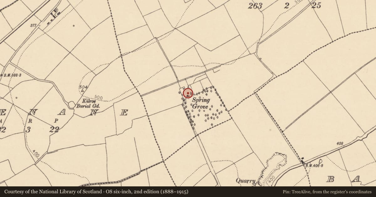 Ordnance Survey six-inch map, 2nd edition (1888–1915) covering the location of Country house, Spring Grove, County Cork, with a pin at the register's coordinates