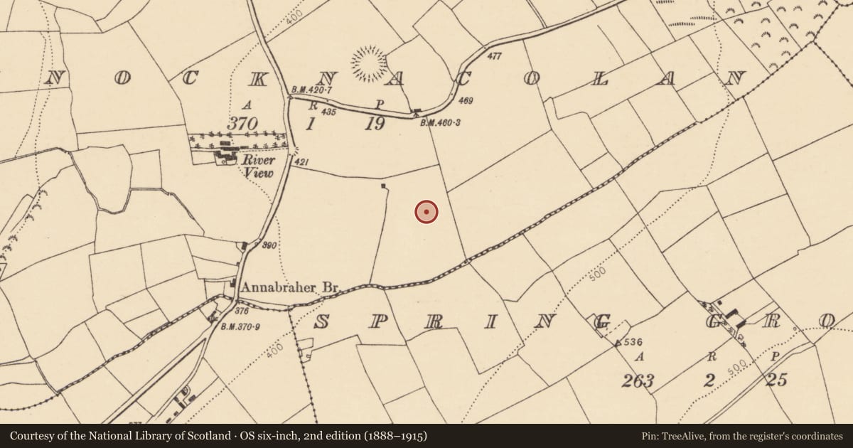 Ordnance Survey six-inch map, 2nd edition (1888–1915) covering the location of Fulacht fia, Knocknacolan, County Cork, with a pin at the register's coordinates