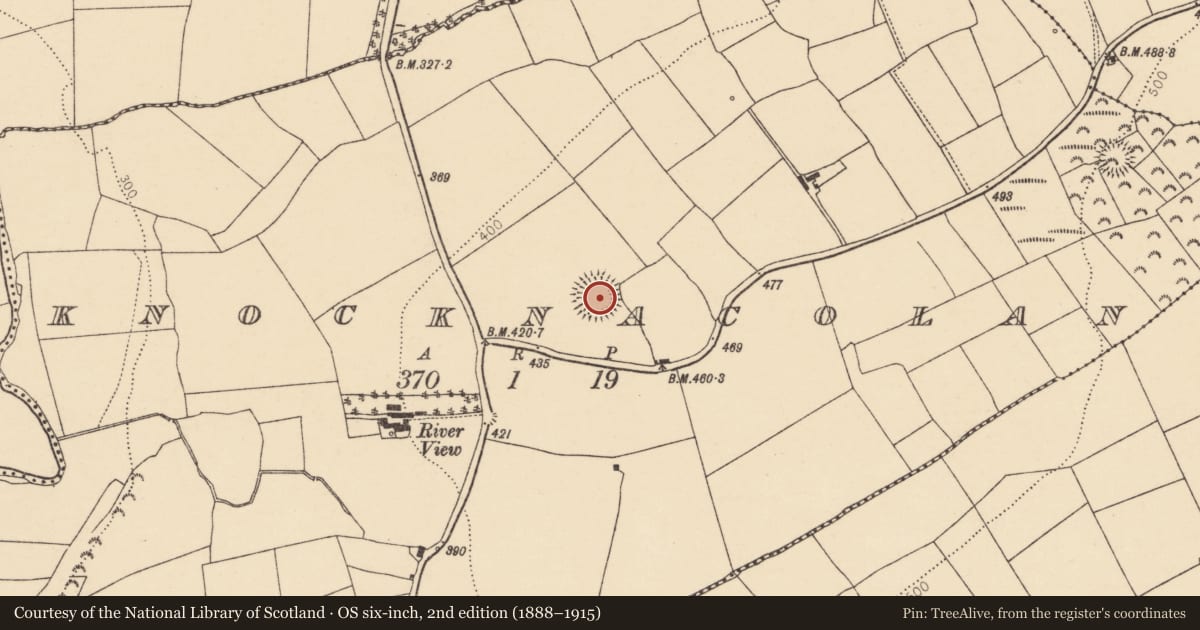 Ordnance Survey six-inch map, 2nd edition (1888–1915) covering the location of Ringfort - rath, Knocknacolan, County Cork, with a pin at the register's coordinates