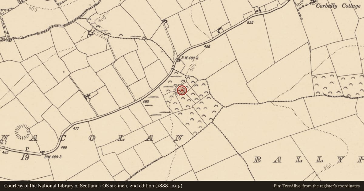 Ordnance Survey six-inch map, 2nd edition (1888–1915) covering the location of Ringfort - rath, Knocknacolan, County Cork, with a pin at the register's coordinates