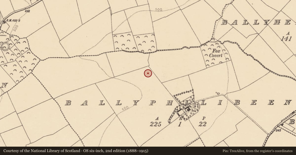 Ordnance Survey six-inch map, 2nd edition (1888–1915) covering the location of Ringfort - rath, Ballyphilibeen, County Cork, with a pin at the register's coordinates