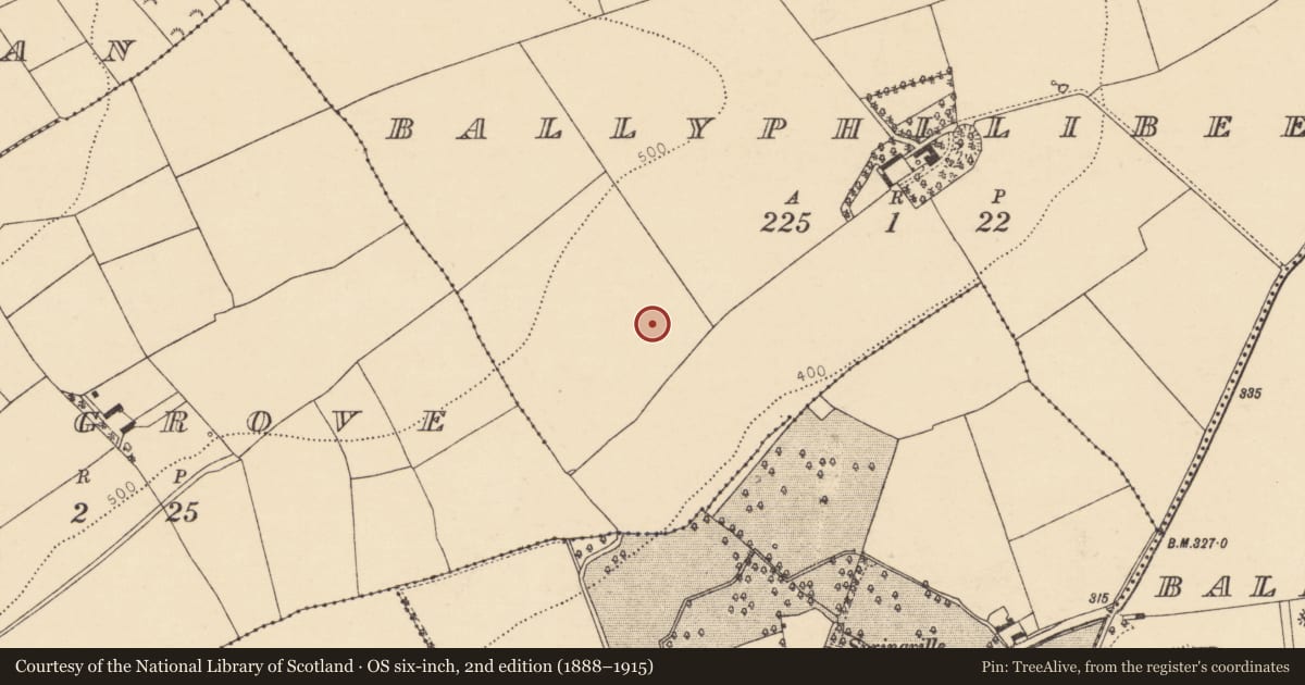 Ordnance Survey six-inch map, 2nd edition (1888–1915) covering the location of Fulacht fia, Ballyphilibeen, County Cork, with a pin at the register's coordinates