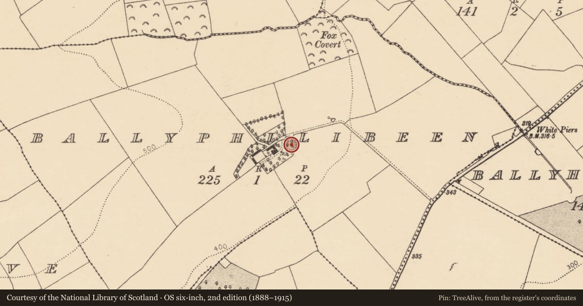 Ordnance Survey six-inch map, 2nd edition (1888–1915) covering the location of Ringfort - rath, Ballyphilibeen, County Cork, with a pin at the register's coordinates