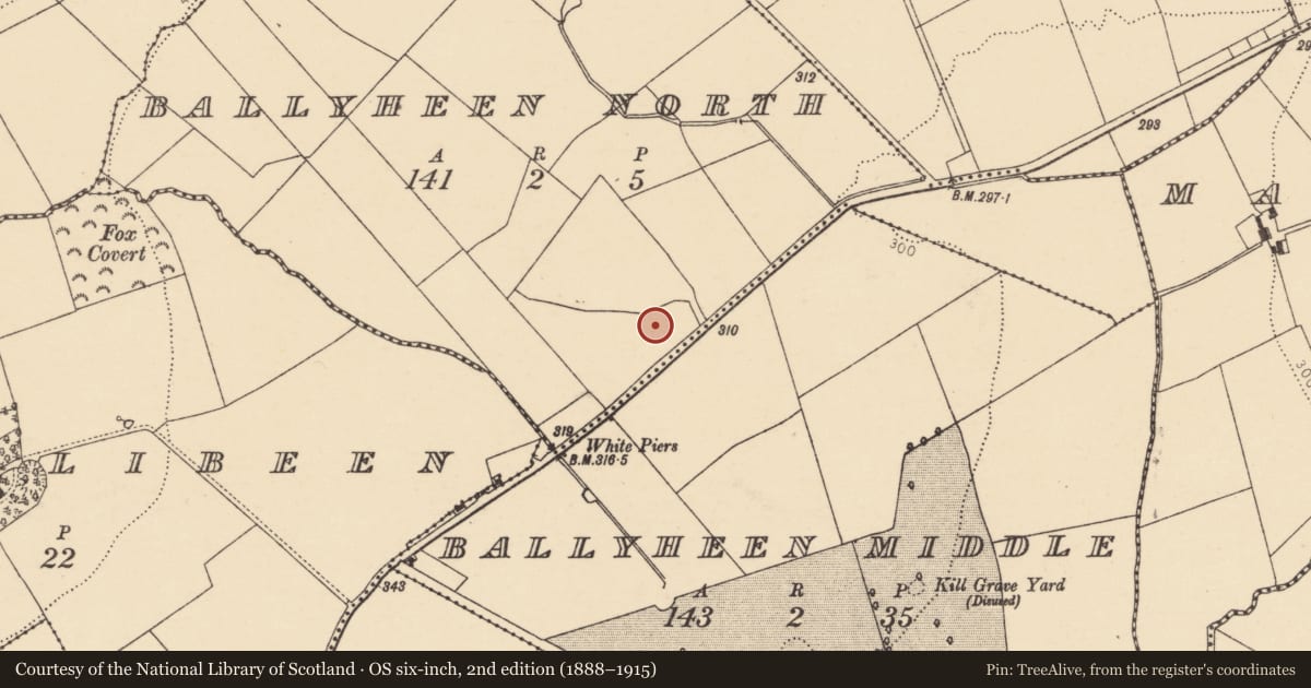 Ordnance Survey six-inch map, 2nd edition (1888–1915) covering the location of Fulacht fia, Ballyheen North, County Cork, with a pin at the register's coordinates