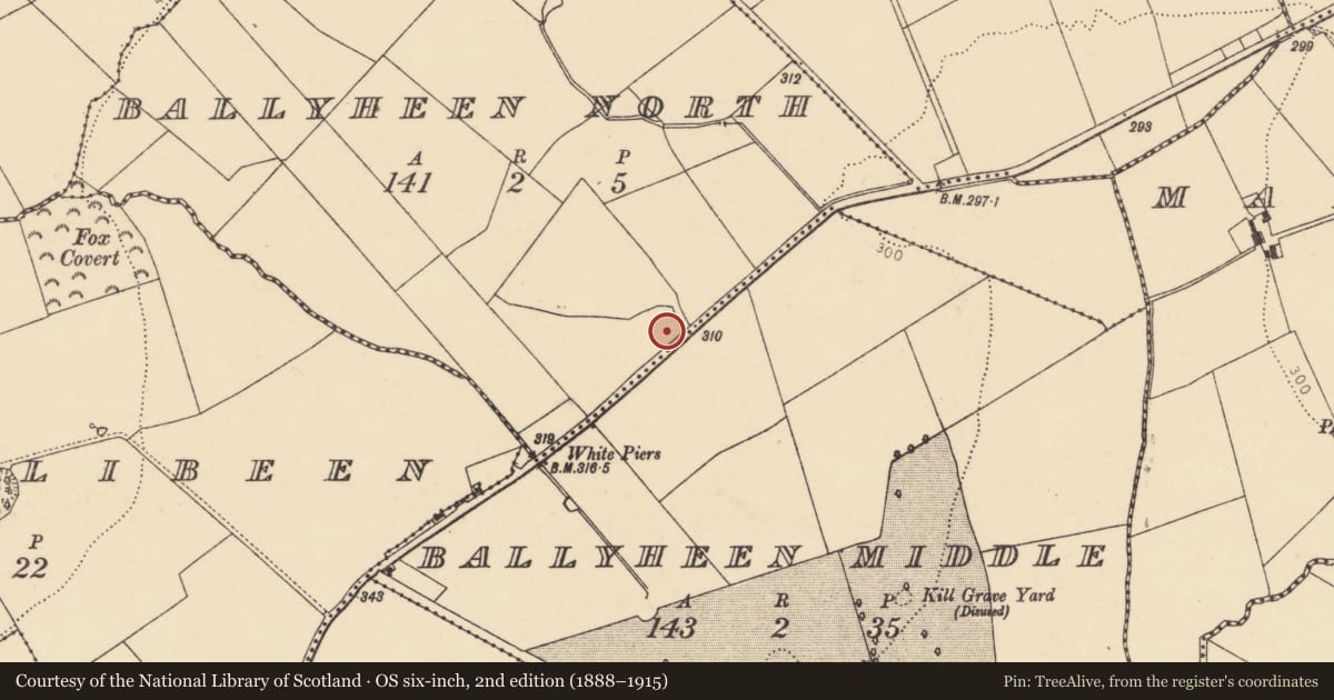 Ordnance Survey six-inch map, 2nd edition (1888–1915) covering the location of Fulacht fia, Ballyheen North, County Cork, with a pin at the register's coordinates