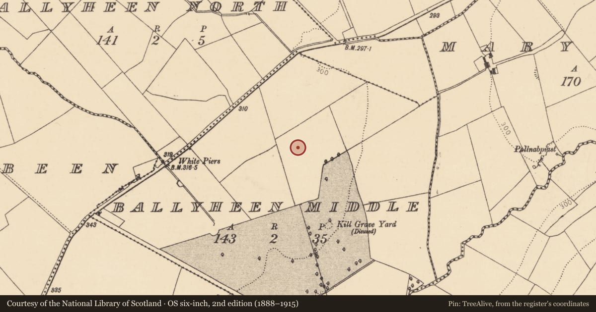 Ordnance Survey six-inch map, 2nd edition (1888–1915) covering the location of Standing stone, Ballyheen Middle, County Cork, with a pin at the register's coordinates