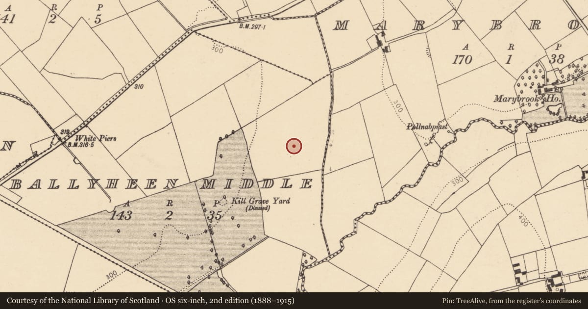 Ordnance Survey six-inch map, 2nd edition (1888–1915) covering the location of Fulacht fia, Ballyheen Middle, County Cork, with a pin at the register's coordinates