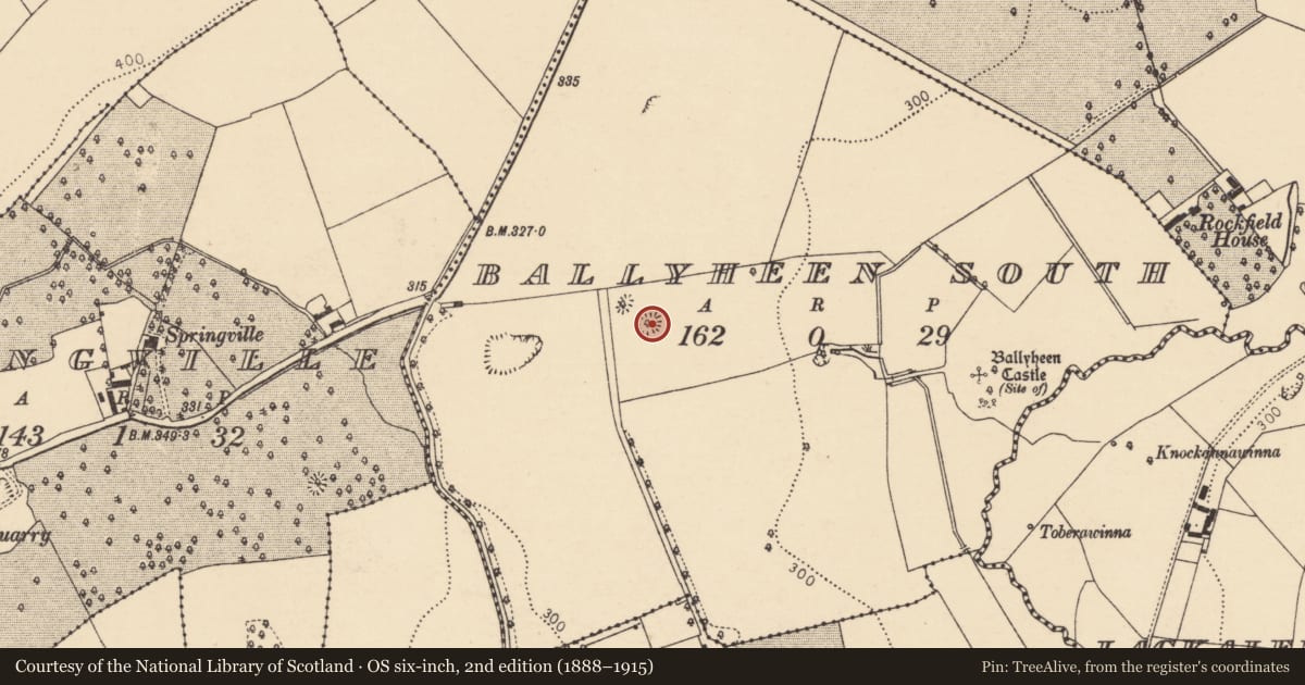 Ordnance Survey six-inch map, 2nd edition (1888–1915) covering the location of Designed landscape - tree-ring, Ballyheen South, County Cork, with a pin at the register's coordinates