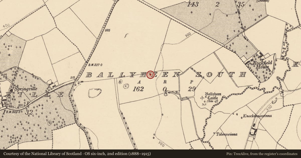 Ordnance Survey six-inch map, 2nd edition (1888–1915) covering the location of Quarry, Ballyheen South, County Cork, with a pin at the register's coordinates