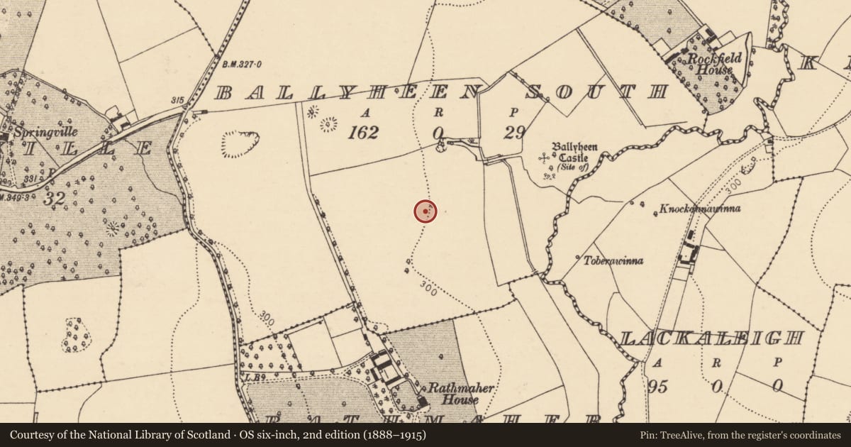 Ordnance Survey six-inch map, 2nd edition (1888–1915) covering the location of Designed landscape - tree-ring, Ballyheen South, County Cork, with a pin at the register's coordinates