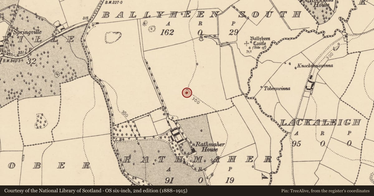 Ordnance Survey six-inch map, 2nd edition (1888–1915) covering the location of Designed landscape - tree-ring, Ballyheen South, County Cork, with a pin at the register's coordinates