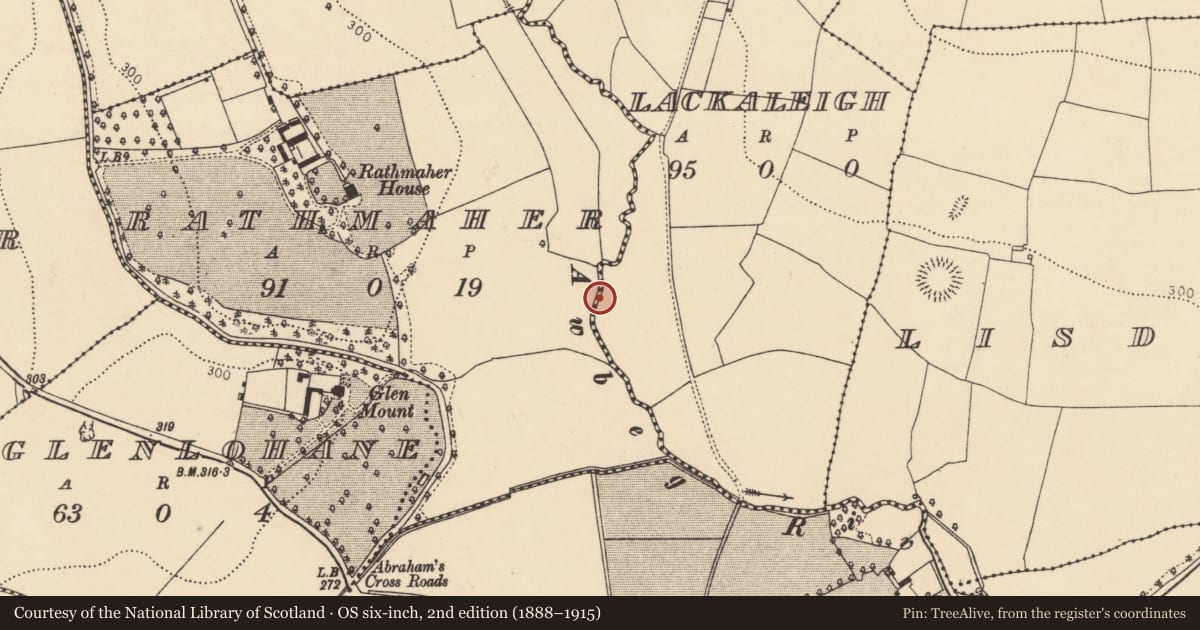 Ordnance Survey six-inch map, 2nd edition (1888–1915) covering the location of Ford, Lackaleigh, Rathmaher, County Cork, with a pin at the register's coordinates