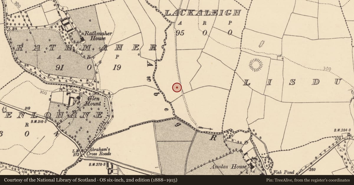 Ordnance Survey six-inch map, 2nd edition (1888–1915) covering the location of Ringfort - rath, Lackaleigh, County Cork, with a pin at the register's coordinates