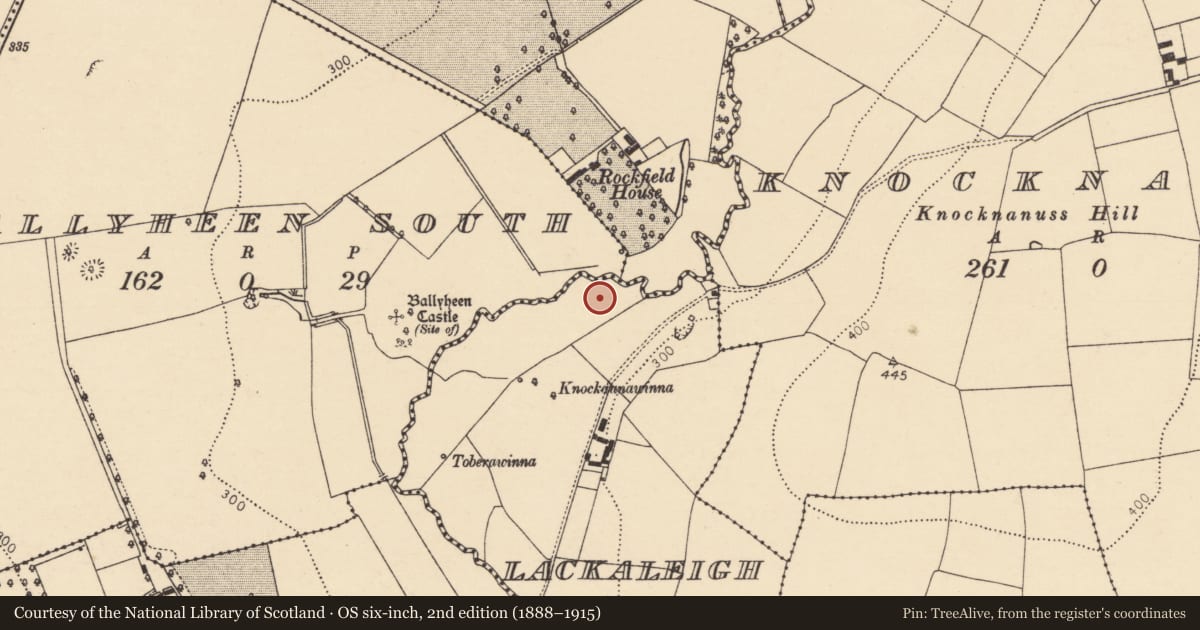 Ordnance Survey six-inch map, 2nd edition (1888–1915) covering the location of Ringfort - rath, Lackaleigh, County Cork, with a pin at the register's coordinates