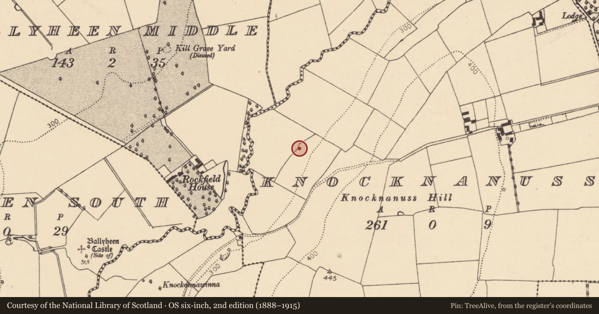 Ordnance Survey six-inch map, 2nd edition (1888–1915) covering the location of Ringfort - rath, Knocknanuss, County Cork, with a pin at the register's coordinates