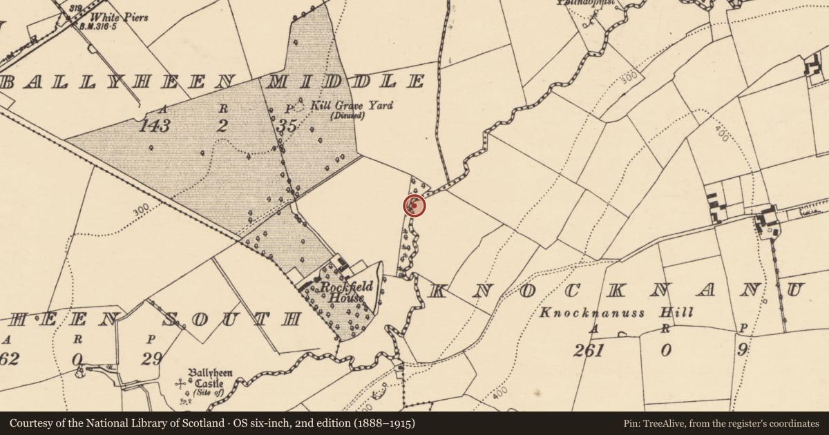 Ordnance Survey six-inch map, 2nd edition (1888–1915) covering the location of Ford, Knocknanuss, County Cork, with a pin at the register's coordinates