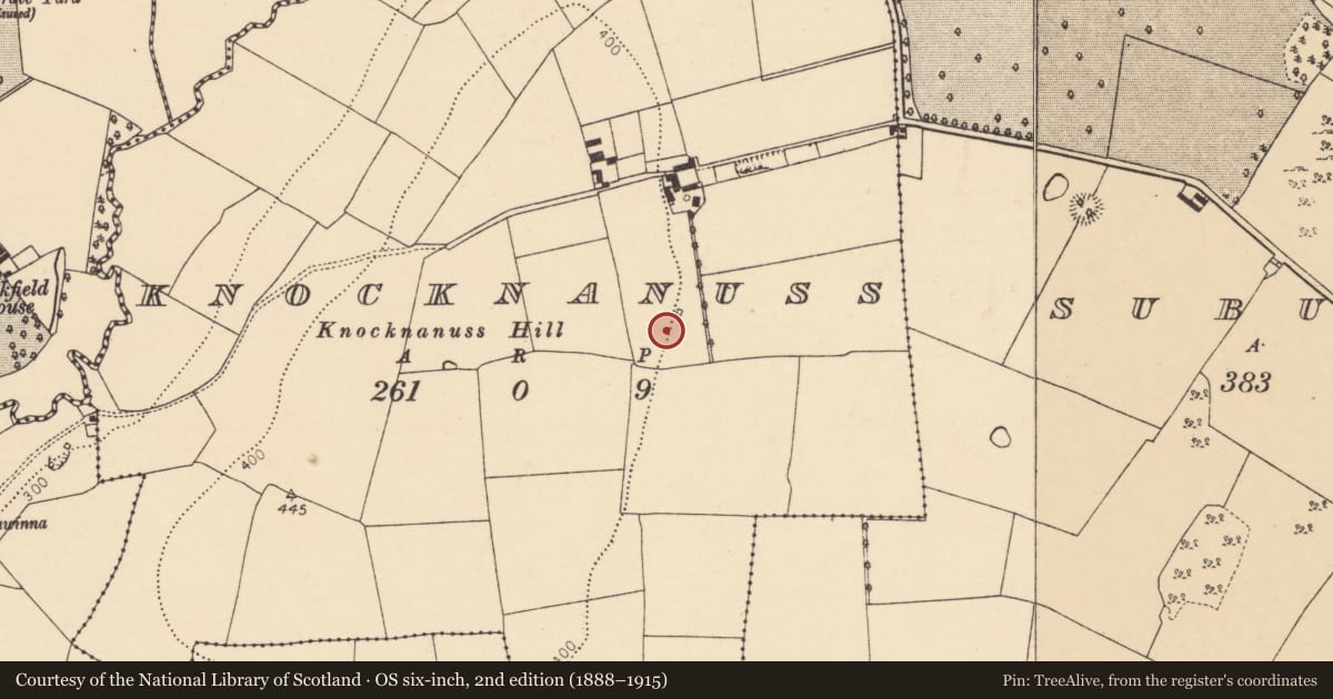 Ordnance Survey six-inch map, 2nd edition (1888–1915) covering the location of Ringfort - rath, Knocknanuss, County Cork, with a pin at the register's coordinates