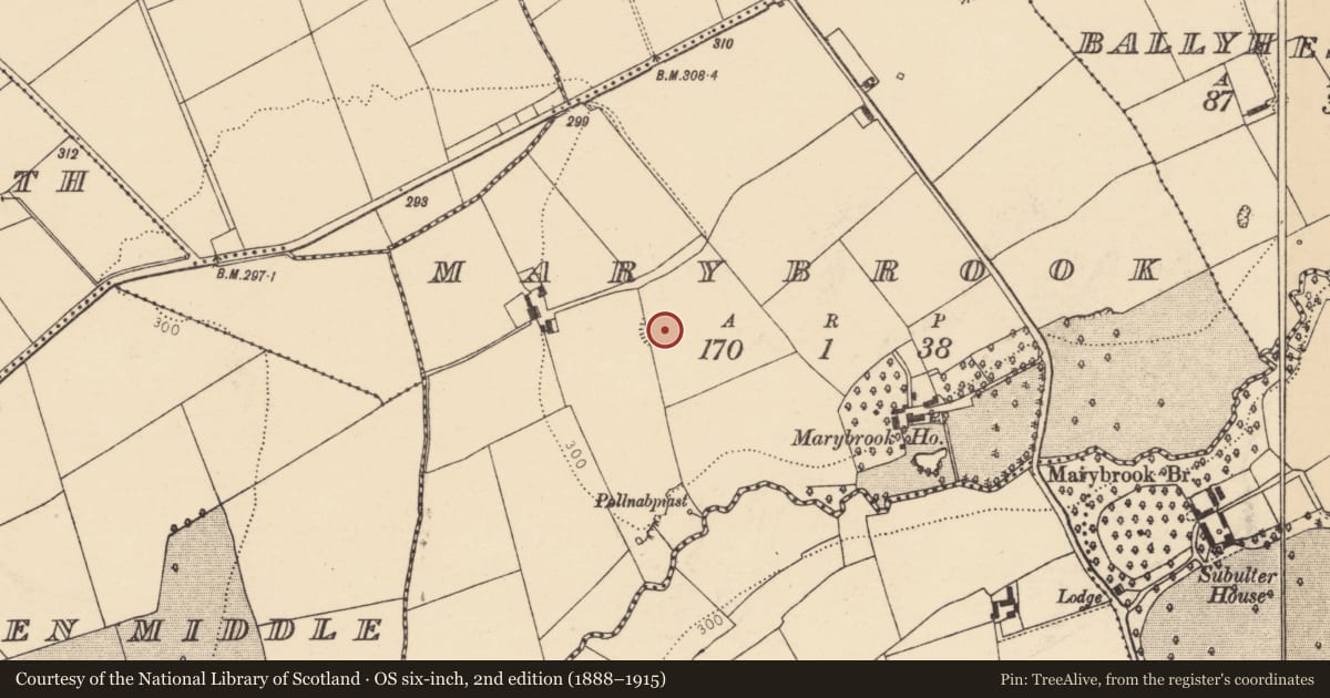 Ordnance Survey six-inch map, 2nd edition (1888–1915) covering the location of Anomalous stone group, Marybrook, County Cork, with a pin at the register's coordinates