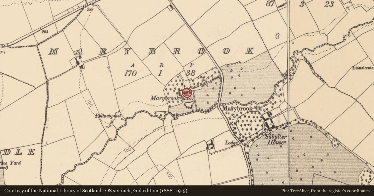 Ordnance Survey six-inch map, 2nd edition (1888–1915) covering the location of Castle - unclassified, Marybrook, County Cork, with a pin at the register's coordinates