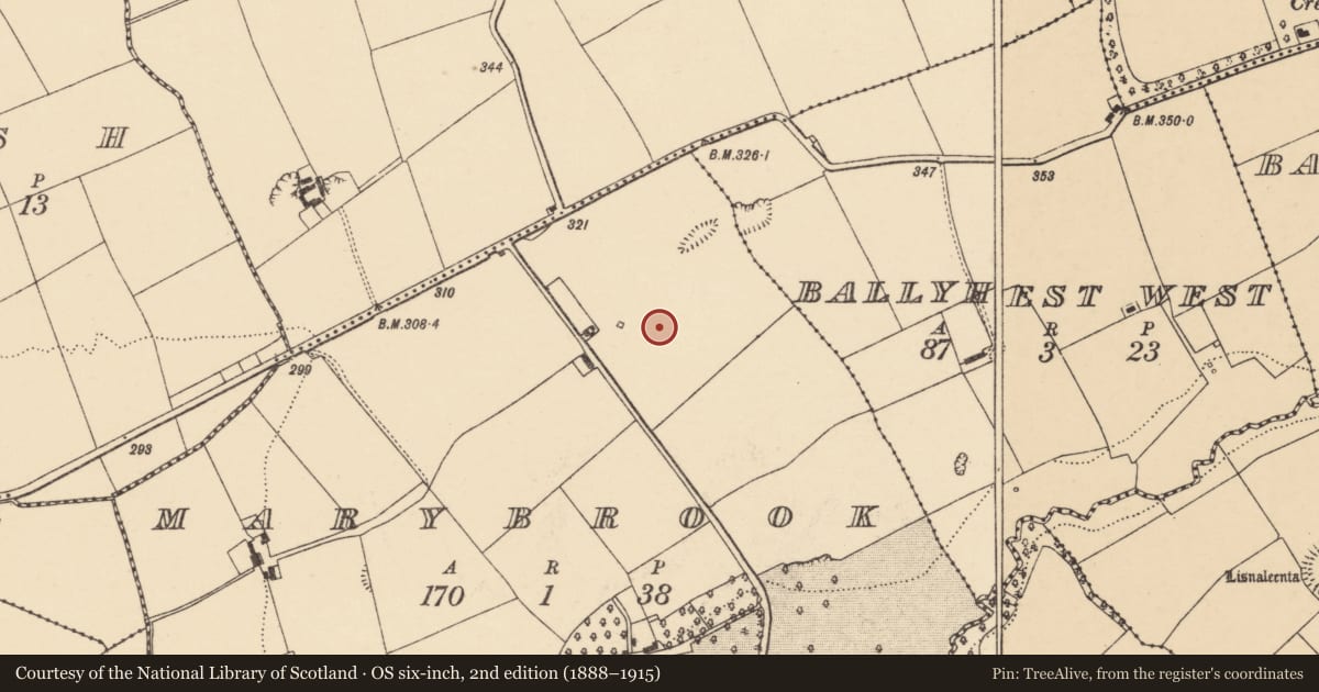 Ordnance Survey six-inch map, 2nd edition (1888–1915) covering the location of Enclosure, Marybrook, County Cork, with a pin at the register's coordinates