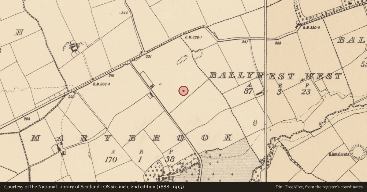 Ordnance Survey six-inch map, 2nd edition (1888–1915) covering the location of Ringfort - rath, Marybrook, County Cork, with a pin at the register's coordinates