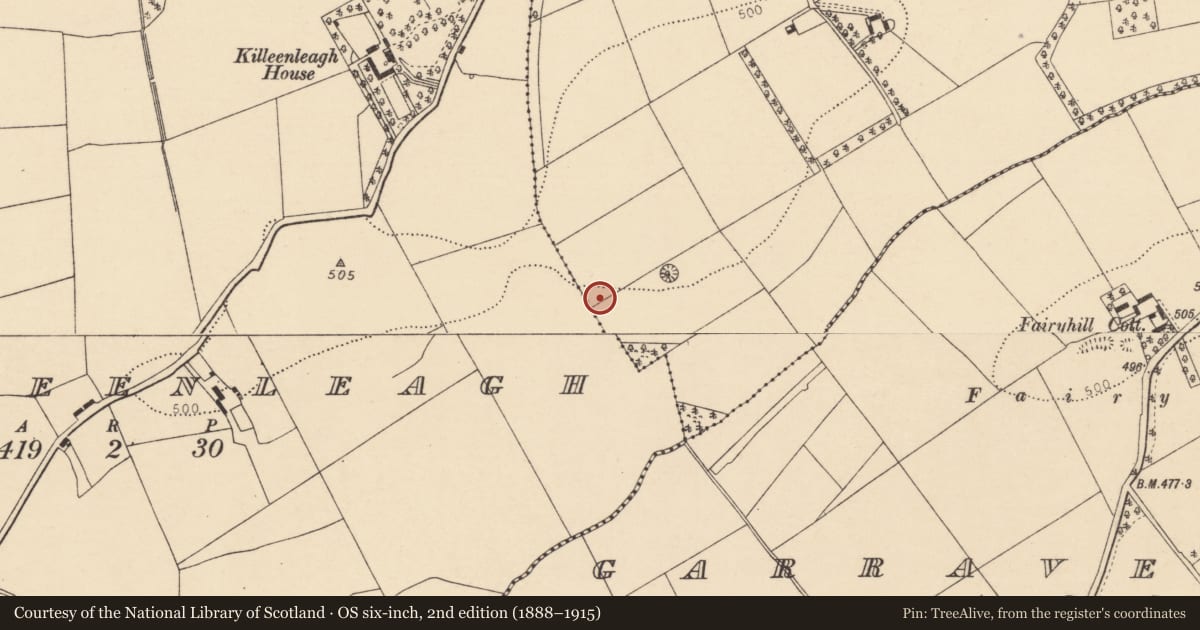 Ordnance Survey six-inch map, 2nd edition (1888–1915) covering the location of Burial ground, Paal West, County Cork, with a pin at the register's coordinates