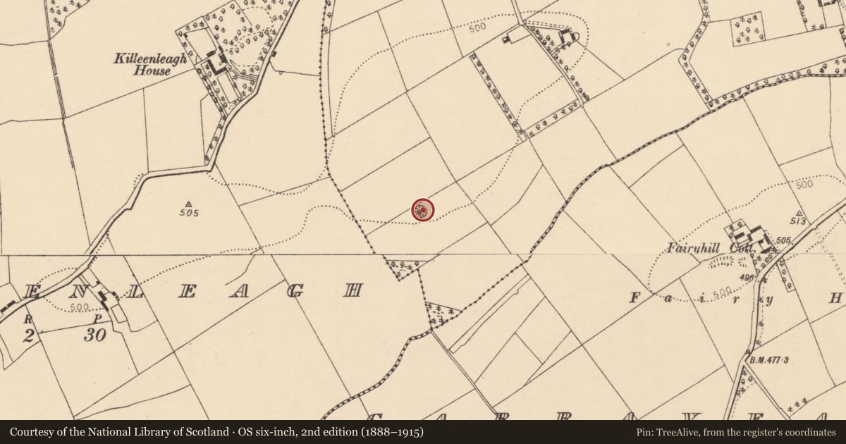Ordnance Survey six-inch map, 2nd edition (1888–1915) covering the location of Ringfort - rath, Paal West, County Cork, with a pin at the register's coordinates