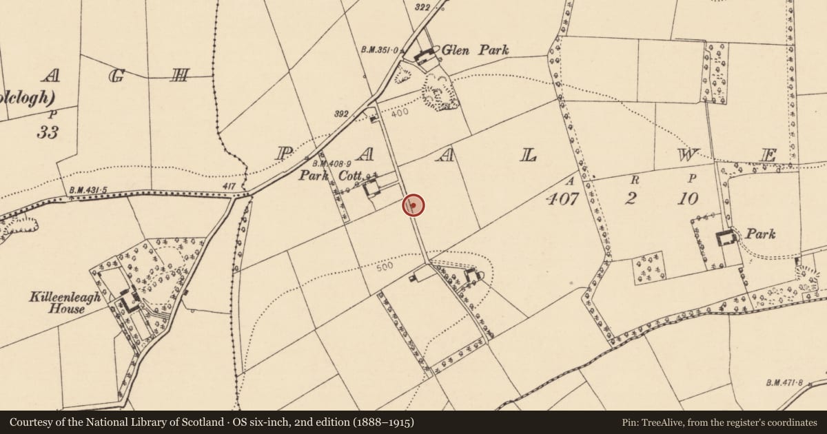 Ordnance Survey six-inch map, 2nd edition (1888–1915) covering the location of Kiln - lime, Paal West, County Cork, with a pin at the register's coordinates